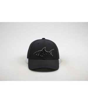 Casquette sharklife
