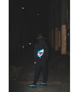 Ensemble shark aileron