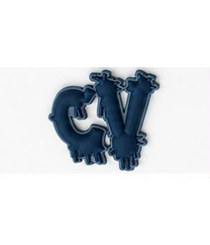 PIN’S CV Vanta