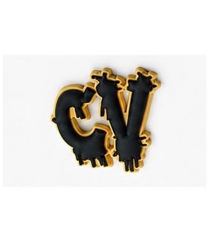 PIN’S CV Studio