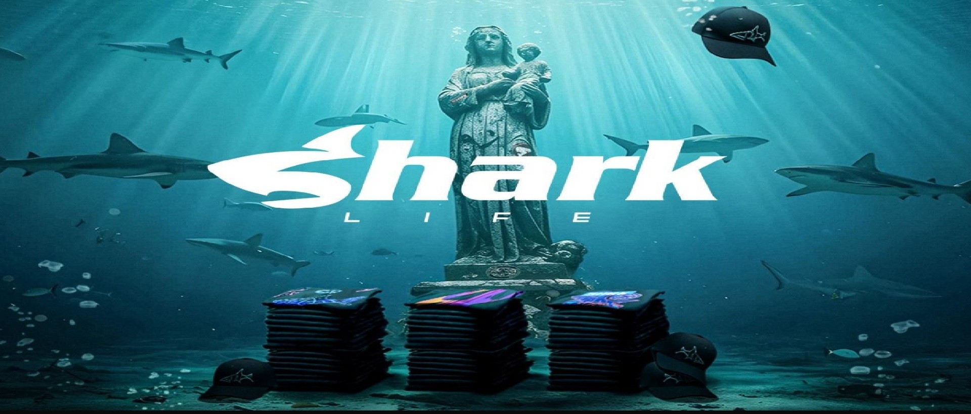 shark